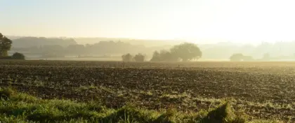 DSC 1987