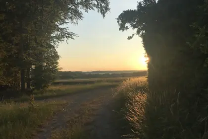 IMG 0521