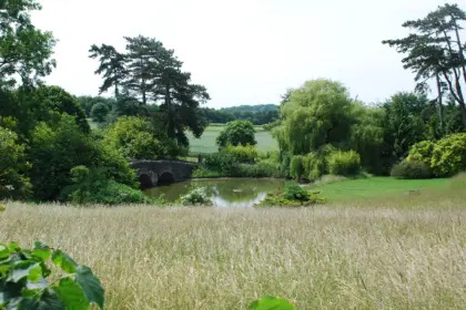 DSC 0067